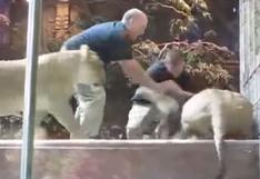 YouTube: Leona evita que su compañero mate a trabajador de zoológico | VIDEO