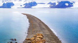 Esta es la mejor fotografía de la naturaleza en 2022