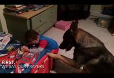 Facebook: perro conquista la red con su estilo para arropar a niño | VIDEO