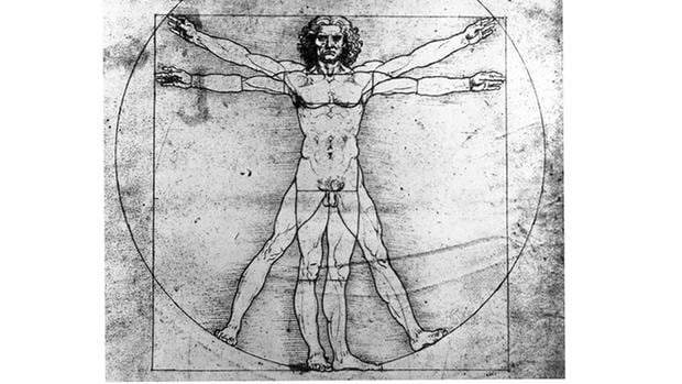 Las perfectas proporciones de la forma humana en el dibujo de Leonardo da Vinci.