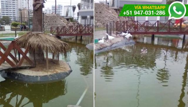 Vía WhatsApp: el mal estado de laguna artificial en Barranco - 1