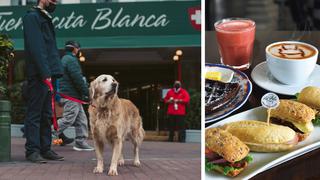 Conoce 5 espacios gastronómicos ‘pet friendly’ en Lima a los que puedes ir con tu mascota