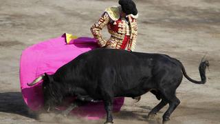 Gloria y muerte de los toros, por Gustavo Rodríguez