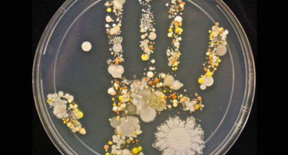EEUU: Estas son las bacterias de una mano sin lavar. (Foto: que.es)