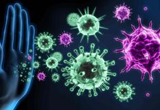 Coronavirus | Qué es la inmunidad cruzada y por qué puede ser clave en la lucha contra el covid-19 