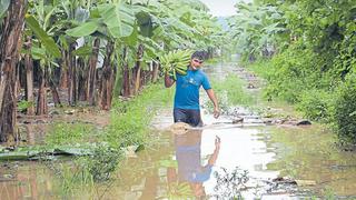 Desborde del río Tumbes afecta 5.000 hectáreas de cultivos