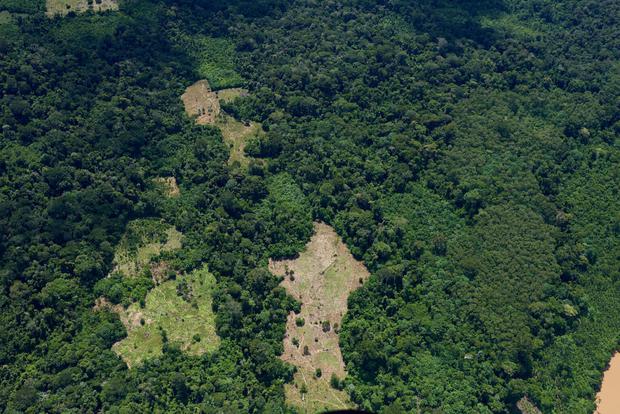 Parches de deforestación se observan desde el aire dentro de la Reserva Indígena Kakataibo. Foto: Aidesep.