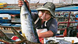 La pesca significará la mitad del crecimiento del PBI de abril