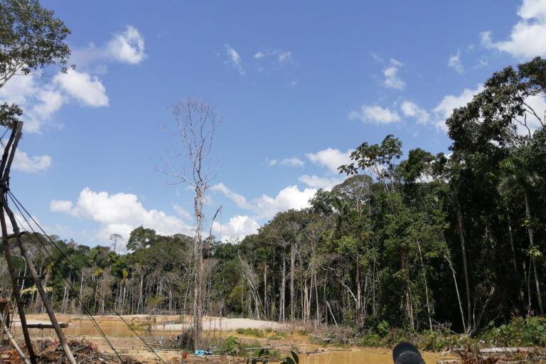 Pese a la pandemia del COVID-19, los mineros han continuado con sus ilegales actividades, arrasando los bosques de la Amazonía. (Foto: Fiscalía Especializada en Materia Ambiental de Madre de Dios)