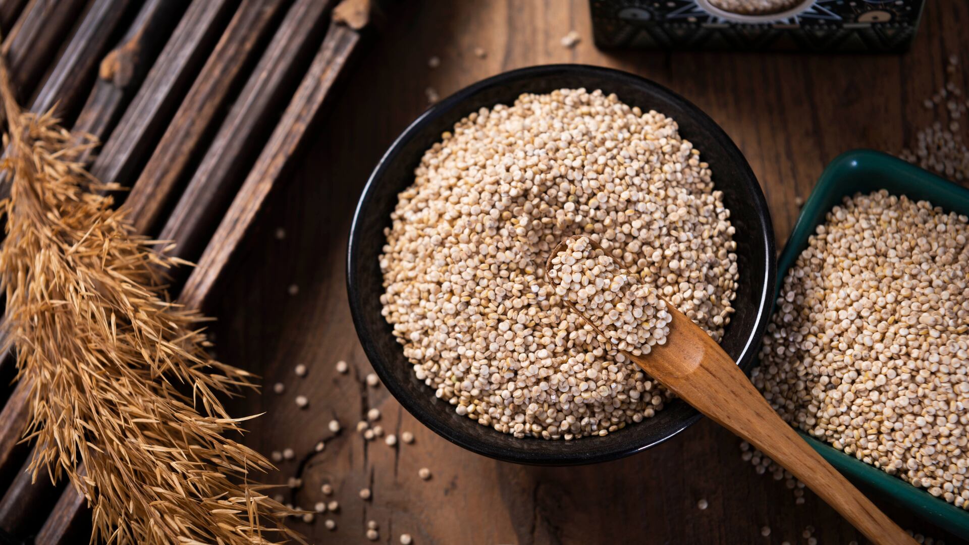 Conforme a lo establecido por la Universidad Nacional Agraria La Molina, la quinoa se caracteriza por las fibras y proteínas que aporta al organismo, a tal punto de mejorar considerablemente la salud intestinal, la estructura ósea y mejorar la masa muscular.