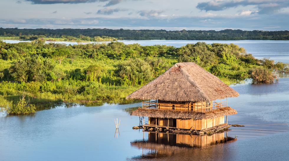 Cinco Motivos Para Visitar La Selva Del Perú Vamos El Comercio PerÚ 0427