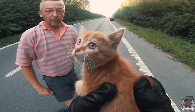 Detuvo su moto en plena autopista para salvar a gatito abandonado y se ganó la admiración de internautas. El video es viral en redes sociales. (YouTube | Viralhog)