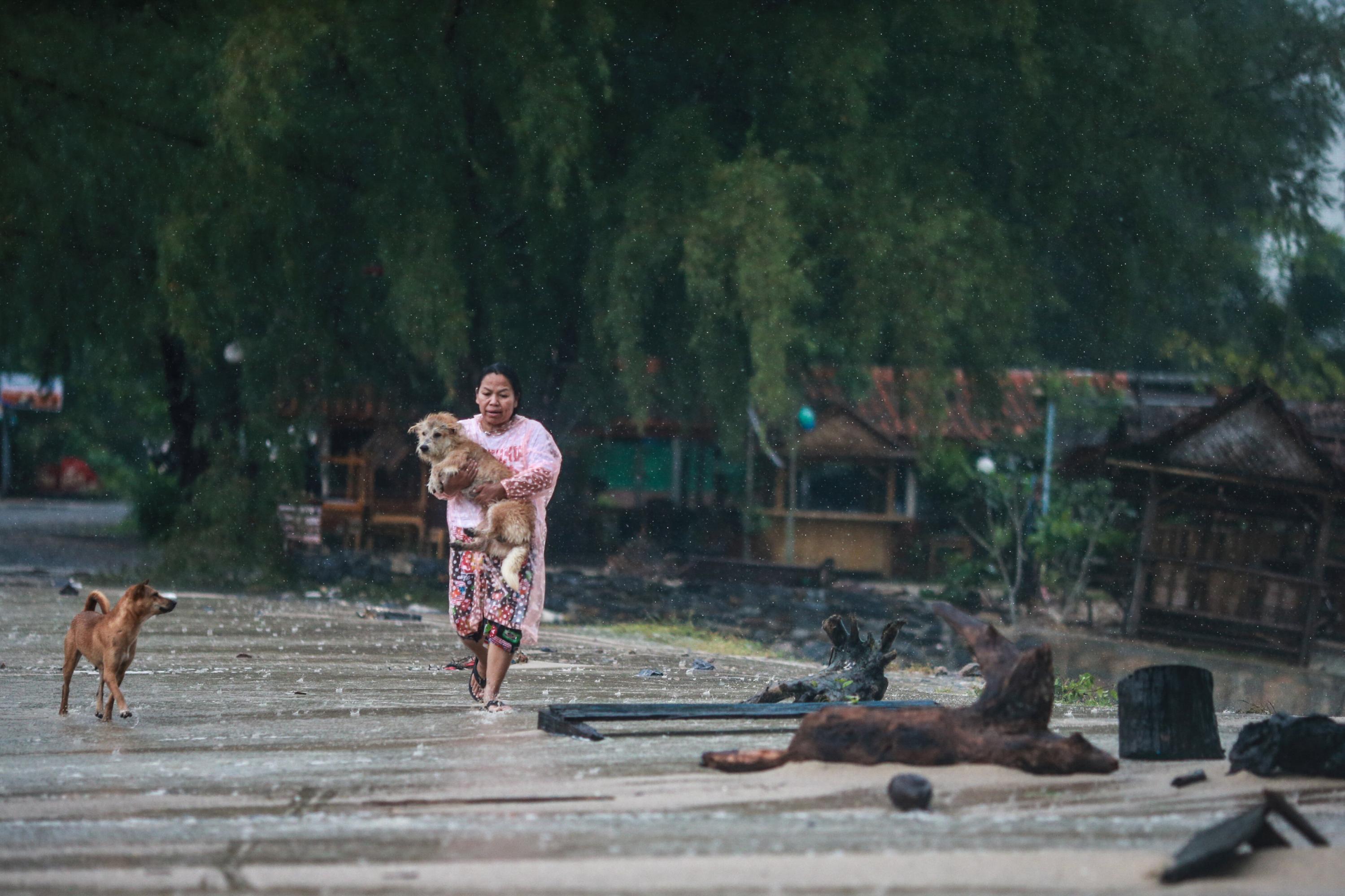 Imágenes de la tormenta tropical Pabuk que ha dejado 3 muertos y 45.000 evacuados en Tailandia. (Reuters)