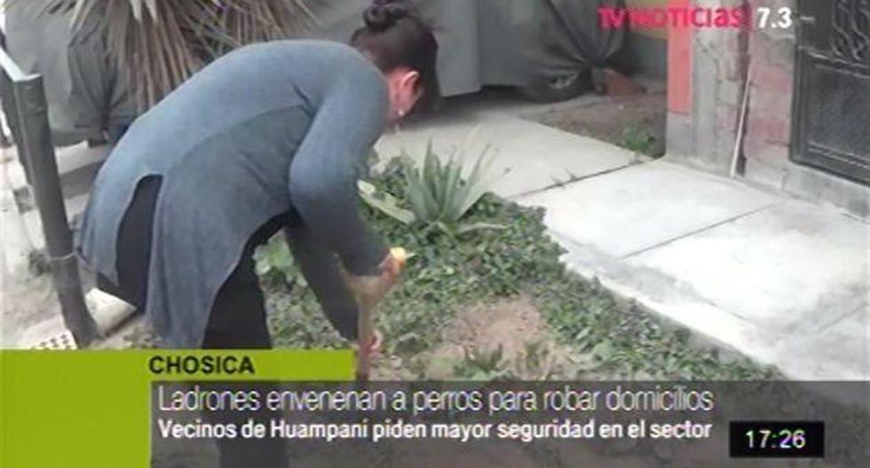 Una vecina contó, entre lágrimas, que trató de salvar a su perro al llevarlo al veterinario, pero ya era demasiado tarde. (Foto: TV Perú)