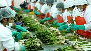 Agroexportaciones peruanas lograrán récord histórico en el 2022, prevé ADEX