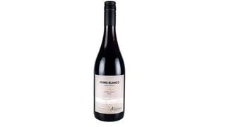 Humo Blanco Pinot Noir: un vino ideal para compartir en familia