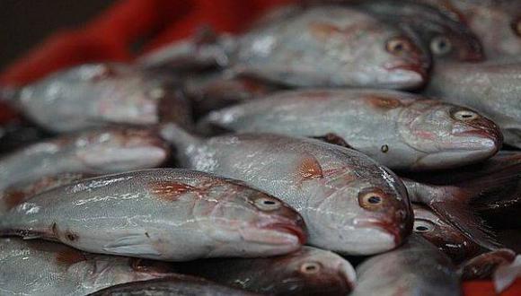 El 2013 fue un pésimo año para las exportaciones pesqueras
