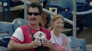 Hombre y su perro se roban el show durante partido de béisbol