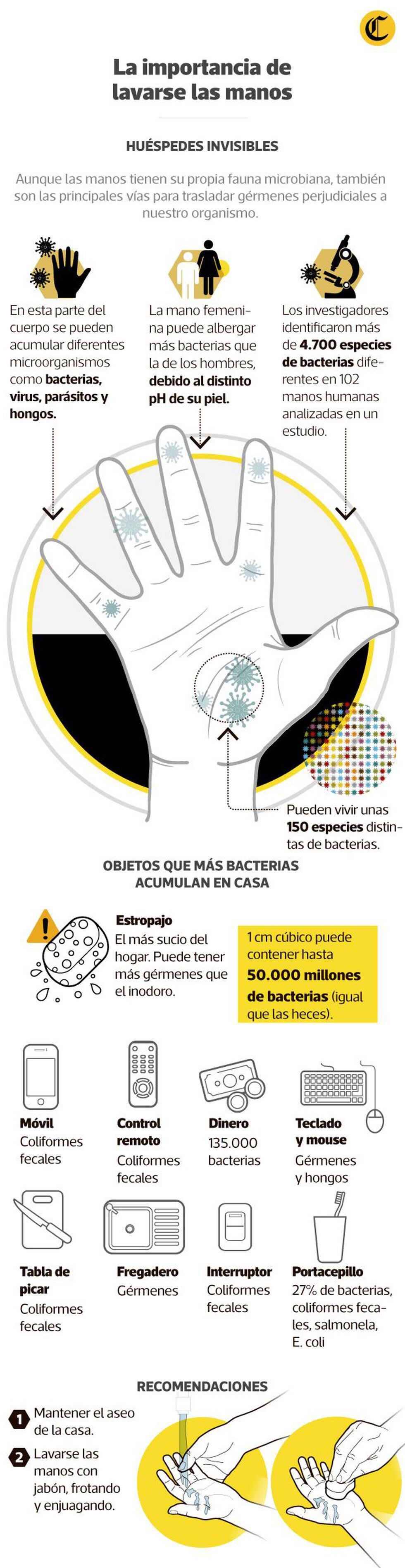 En nuestras manos residen muchos microbios propios de nuestro organismo, pero también se contaminan de gérmenes externos que pueden perjudicarnos. Para ello, debemos lavarnos siempre las manos. (Infografía: Antonio Tarazona)