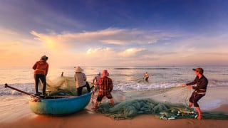 Pescadores se llevan el susto de sus vidas al ser atacados por una gigantesca criatura