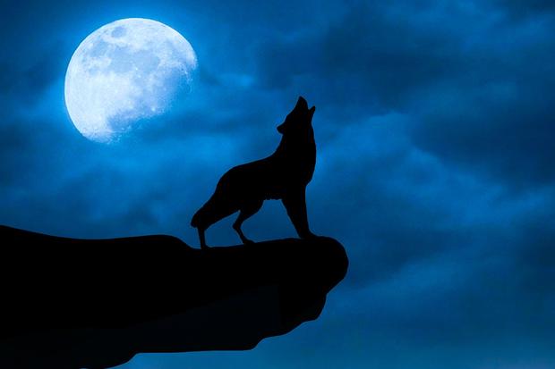 Luna llena de lobo 2022: ¿en qué consiste este fenómeno y cuándo se verá en  todo su esplendor? | Luna | Luna llena | REVTLI | RESPUESTAS | EL COMERCIO  PERÚ