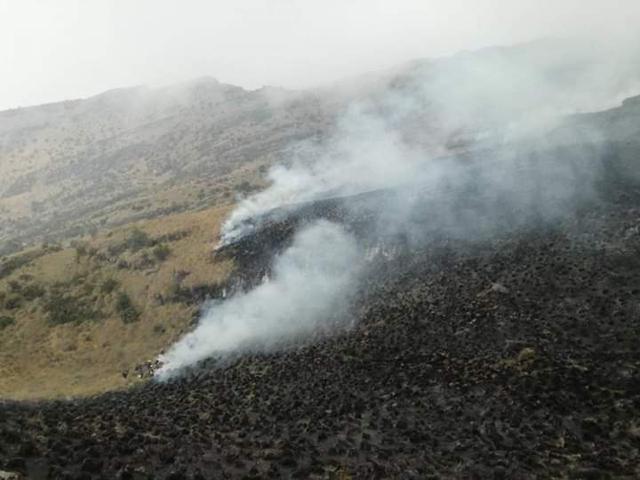 Apurímac: incendio forestal se registra en Santuario Nacional de Ampay. (Foto: Carlos Peña)