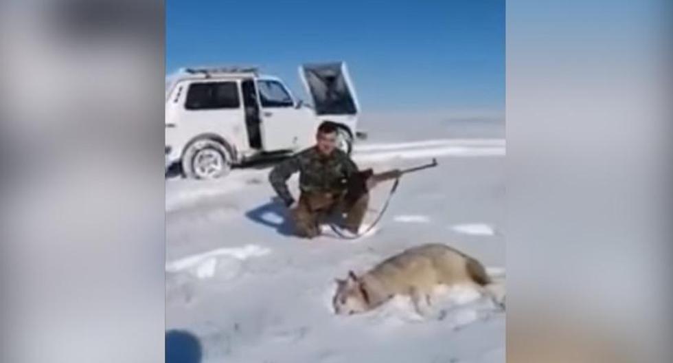 El lobo permanecía inmóvil sobre la nieve hasta que uno de los cazadores que lo rodeaban le dio un puntapié como se ve en este video. (Foto: captura de YouTube)