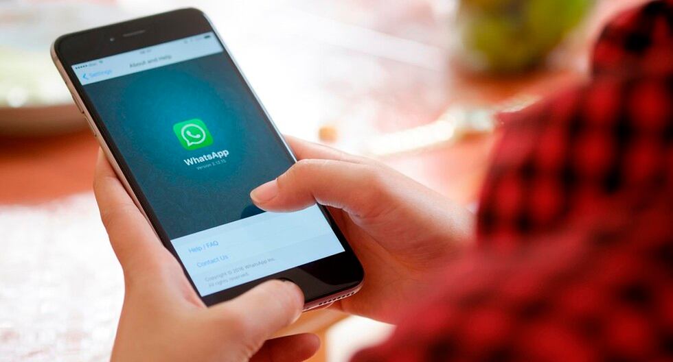 ¿cómo Puedes Avisar A Tus Contactos De Whatsapp Que Cambiaste De Número Data Magemk 4848
