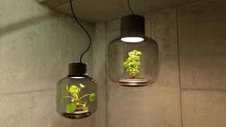 Mygdal Plantlamp, la lámpara en la que crecen flores sin agua