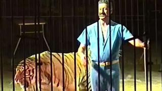 Famoso domador de circo muere atacado por sus cuatro tigres en Italia