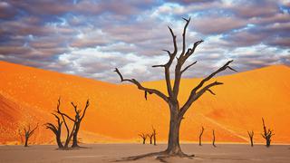 El Dead Vlei:Este lugar en Namibia parece sacado de una pintura