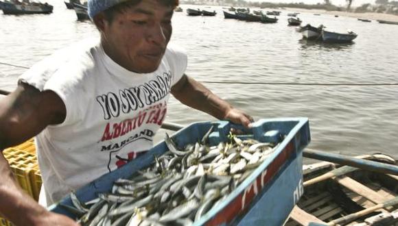 La pesca artesanal de anchoveta es una práctica ancestral en la costa central. Para su comercialización antiguamente se secaba al sol. Esto y más en muestra de la Casa de la Gastronomía Peruana.