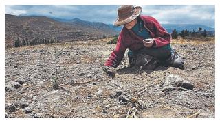 ¿Victoria de los trabajadores agrícolas?, por Miguel Jaramillo Baanante