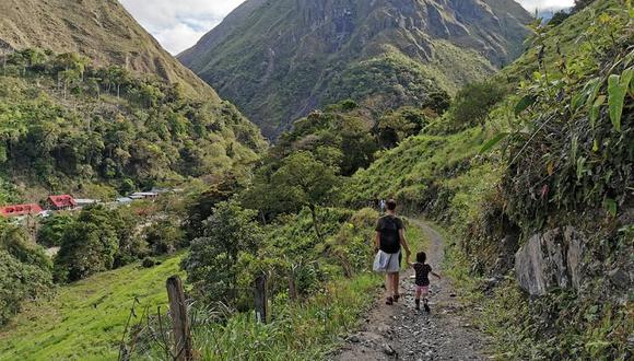 Aprovecha las vacaciones escolares para viajar con tus hijos a la selva central. (Foto: Difusión)