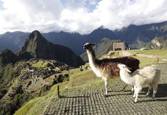 Link para comprar boletos y visitar Machu Picchu: esta es la plataforma del Gobierno