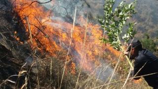 Incendios forestales destruyen áreas naturales en Cusco y afectan a familias en Apurímac