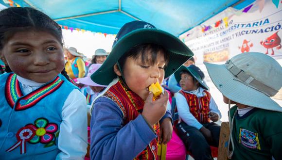 Essalud inicia campaña para combatir la anemia en Puno. Foto: Essalud