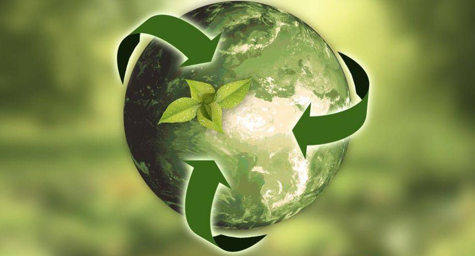 ¿qué Son Los Productos Verdes Y Por Qué Comprarlos Fomenta El Consumo Responsable En Perúemk 6966