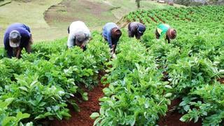 Crisis alimentaria y compra de fertilizantes: las tareas urgentes que el nuevo ministro de Agricultura debe afrontar