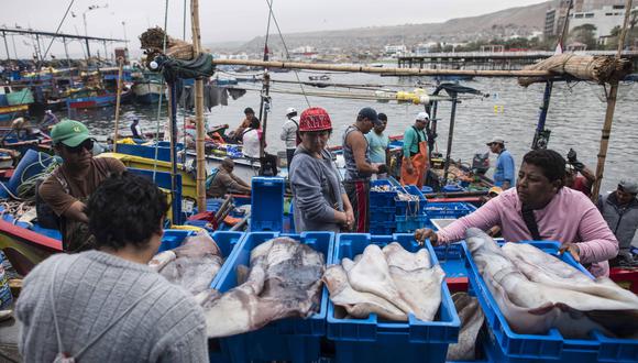 El rubro de Consumo Humano Directo creció en razón de 13,6%, esto representó un volumen de recursos hidrobiológicos desembarcados de 103,5 miles de TM. (Foto: Produce)