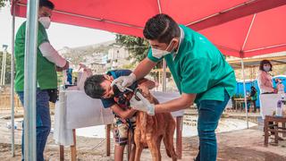 WUF: Municipalidad de Huánuco inaugura consultorio veterinario municipal “Jueves de Patitas”