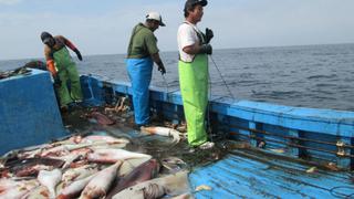 Pago del Bono Pescador 2023 | Cuándo se cobra y quiénes son los beneficiarios