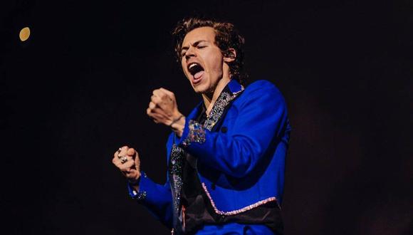 Harry Styles anunció que brindará concierto en Lima. (Foto: harrystyles)