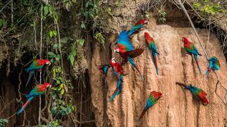 National Geographic recomienda conocer la Amazonía peruana el 2019