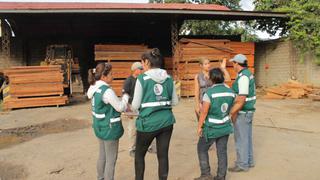 Decomisan madera ilegal valorizada en casi S/ 60 mil en Satipo