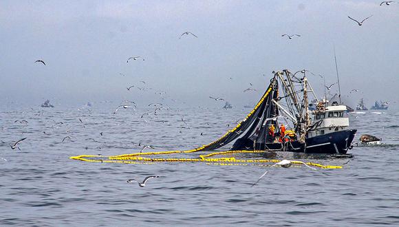 Durante el 2020 se habría registrado una captura de 4.3 millones de TM de anchoveta, superior en 26% al 2019. (Foto: Produce)