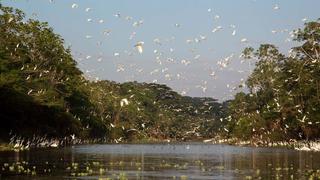 Tarapoto: artistas y jóvenes se unen para proteger ríos de la Amazonía