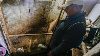 Derrame de petróleo: el lamento de un pescador que ahora cría conejos para sobrevivir