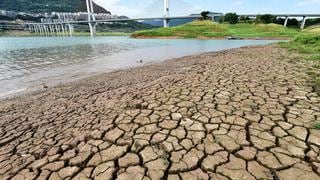 China advierte de una “grave” amenaza a la cosecha por la ola de calor récord