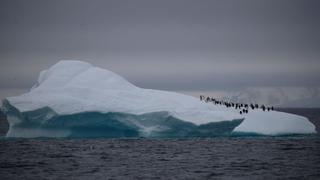 La Antártida registró una temperatura de 30°C encima de lo normal
